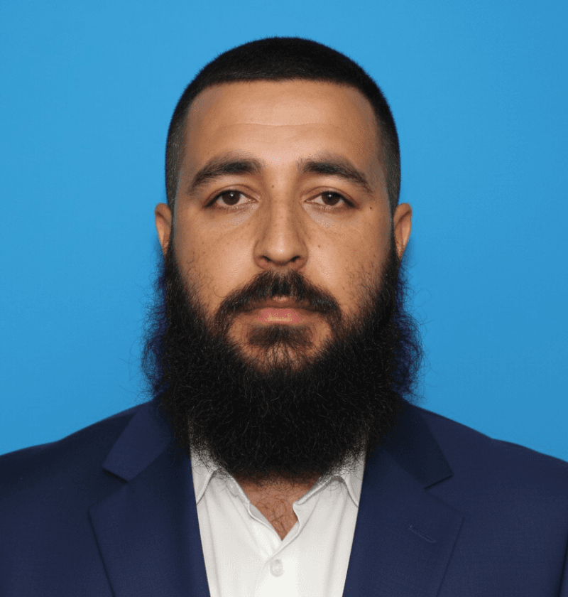 Amir Hamza